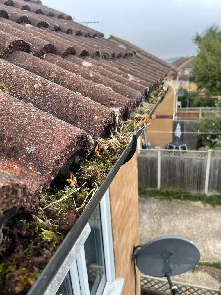 A gutter run packed with moss and debris at the roof edge